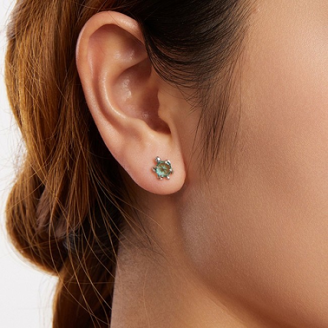 Cercei argint broasca testoasa