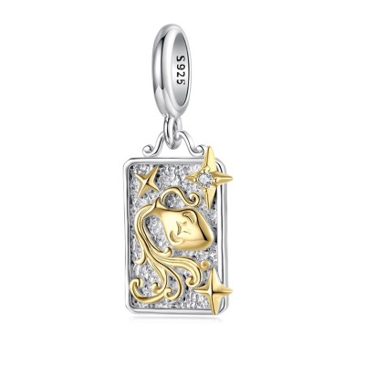 Talisman pandantiv argint zodia varsator Talisman pandantiv argint zodia varsator