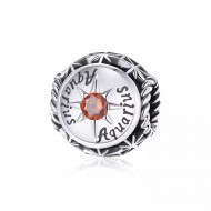 Talisman argint Varsator Zodiac