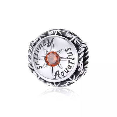 Talisman argint Varsator Zodiac Talisman argint Varsator Zodiac
