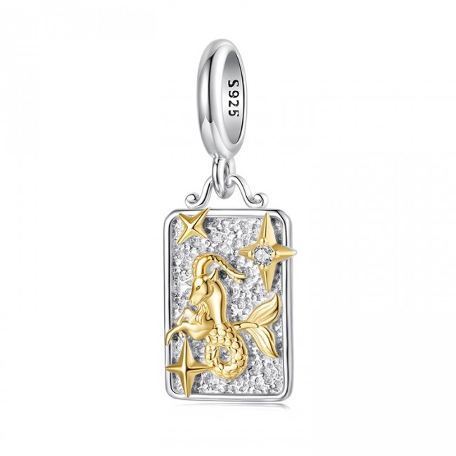 Talisman pandantiv argint zodia capricorn Talisman pandantiv argint zodia capricorn