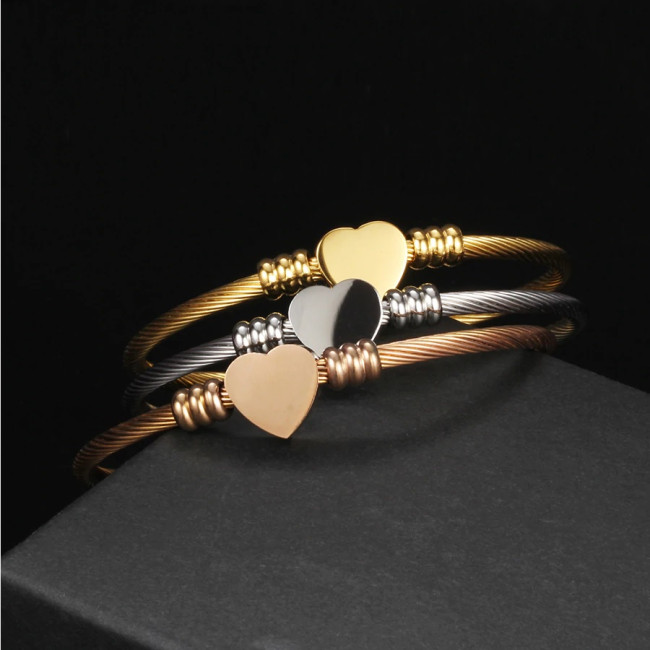 Bratara bangle Silver Moments of Love