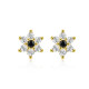 Cercei argint Snowflakes Flower
