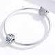 Talisman argint Birthday Stone December