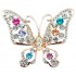 Brosa Multicolours Butterfly